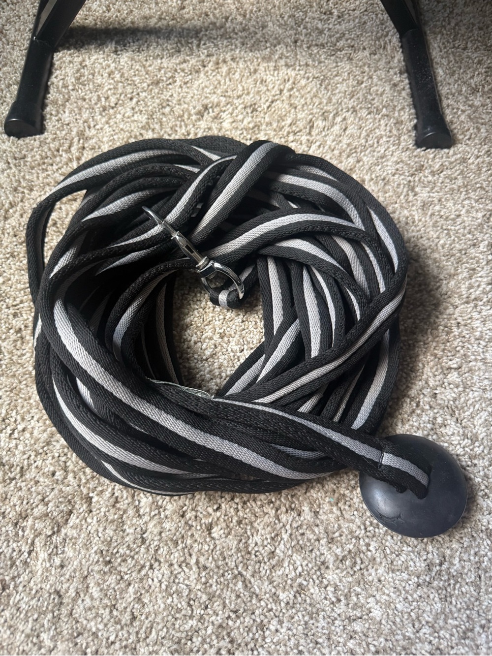 Dover Striped Black and Gray Lunge Line